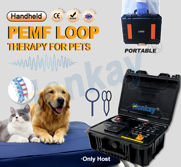 Personal Pet Care PEMF Device  - Health With Wellness ulasan dan harga