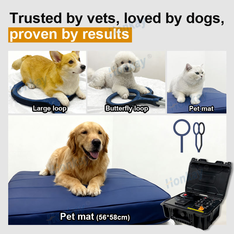 Personal Pet Care PEMF Device  - Health With Wellness ulasan dan harga