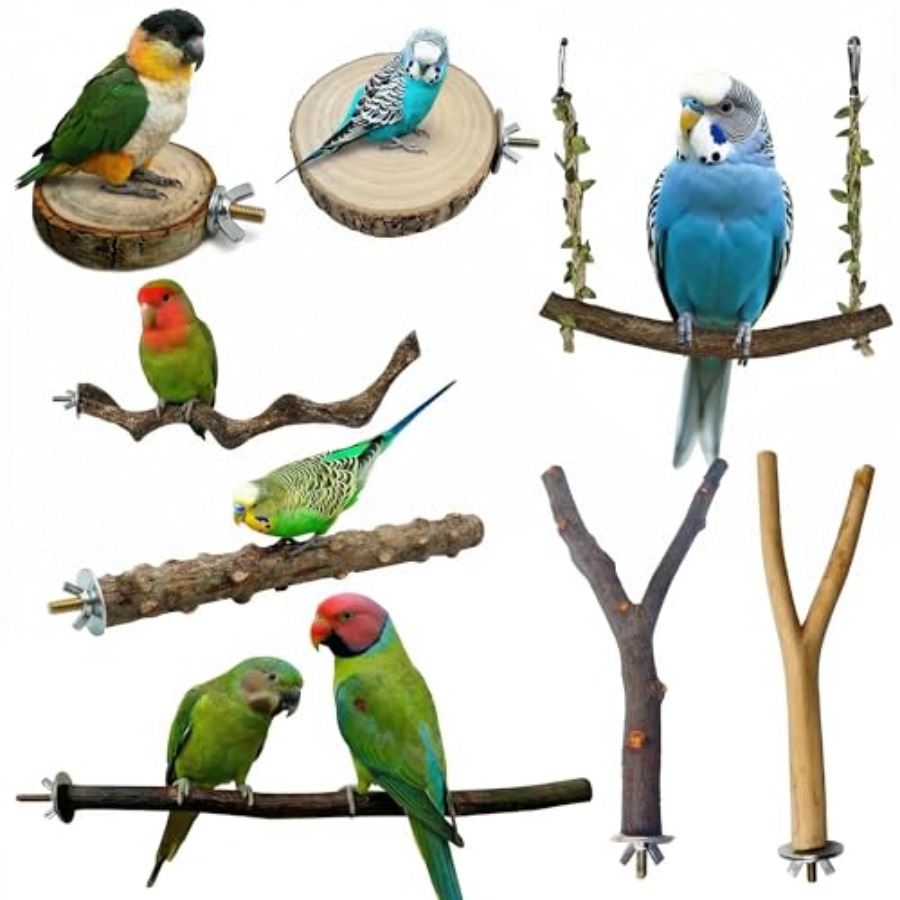 8PCS natural wood bird perches - Health & Wellness Retailers ulasan dan harga